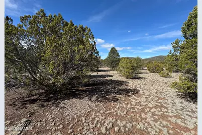 6598 N Isabella Street, Williams, AZ 86046 - Photo 5