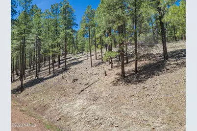 5216 Hidden Hollow Road, Flagstaff, AZ 86001 - Photo 7