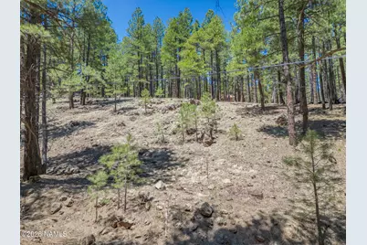 5216 Hidden Hollow Road, Flagstaff, AZ 86001 - Photo 5