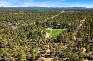 6385 W White Mountain Blvd, Lakeside, AZ 85929 - Photo 21