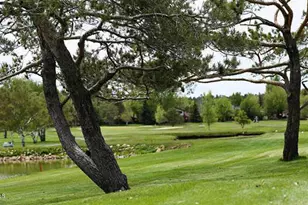 2900 N Saddleback Way, Flagstaff, AZ 86004 - Photo 41