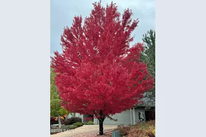 2079 W Fresh Aire Street, Flagstaff, AZ 86001 - Photo 3