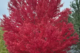 2079 W Fresh Aire St, Flagstaff, AZ 86001 - Photo 3