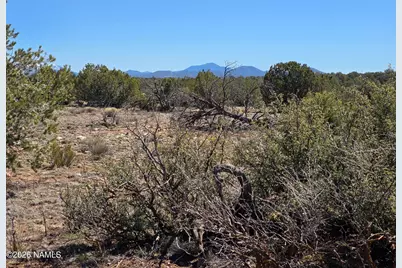 8299 W Clear Fork Loop, Williams, AZ 86046 - Photo 5