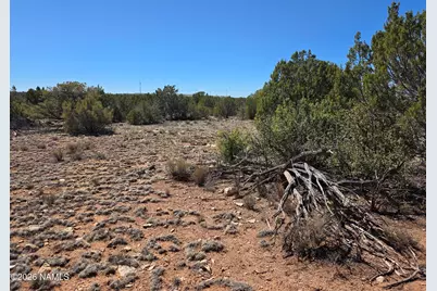 8299 W Clear Fork Loop, Williams, AZ 86046 - Photo 9