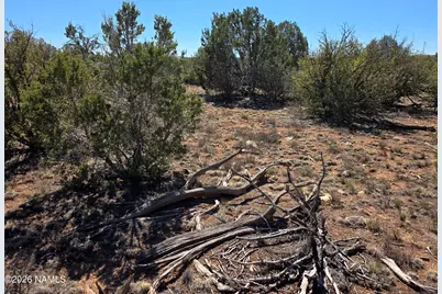 8299 W Clear Fork Loop, Williams, AZ 86046 - Photo 11