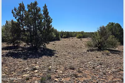 8299 W Clear Fork Loop, Williams, AZ 86046 - Photo 19