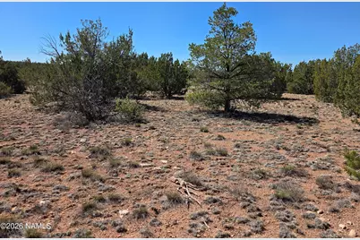 8299 W Clear Fork Loop, Williams, AZ 86046 - Photo 15