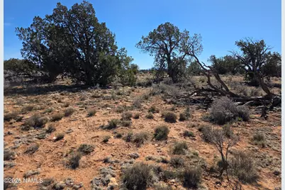 1153 E Indian Meadows Road, Williams, AZ 86046 - Photo 13