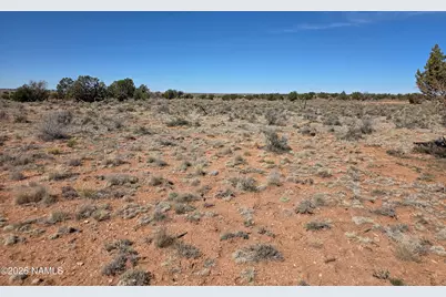 1153 E Indian Meadows Road, Williams, AZ 86046 - Photo 21