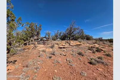 1153 E Indian Meadows Road, Williams, AZ 86046 - Photo 5