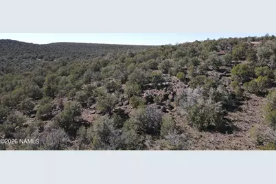 Parcel #205-33-005, Williams, AZ 86046 - Photo 29