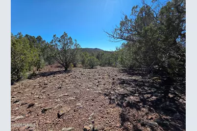 Parcel #205-33-005, Williams, AZ 86046 - Photo 15