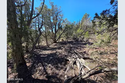 Parcel #205-33-005, Williams, AZ 86046 - Photo 5