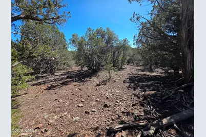 Parcel #205-33-005, Williams, AZ 86046 - Photo 19