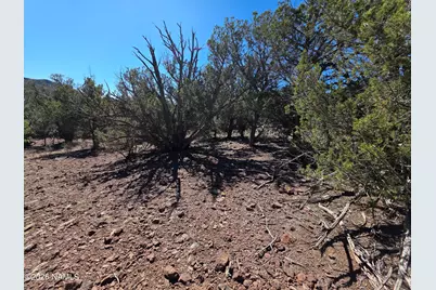 Parcel #205-33-005, Williams, AZ 86046 - Photo 17