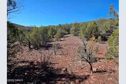 Parcel #205-33-005, Williams, AZ 86046 - Photo 11