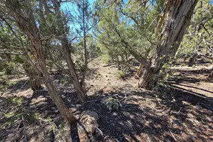 Parcel, Williams, AZ 86046 - Photo 1