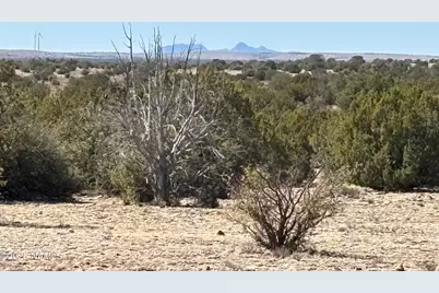 3156 Jackrabbit - 14 Ac Road, Williams, AZ 86046 - Photo 5