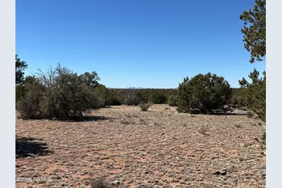 3156 Jackrabbit - 27.97 Ac Road, Williams, AZ 86046 - Photo 7