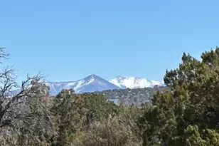 3156 Jackrabbit - 27 97 Ac Rd, Williams, AZ 86046 - Photo 1