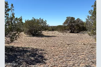 3156 Jackrabbit - 27.97 Ac Road, Williams, AZ 86046 - Photo 7