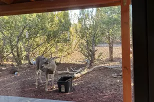 2187 E Starry Night Way, Williams, AZ 86046 - Photo 33