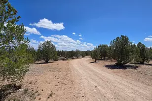 2795 W Poppy Rd, Ash Fork, AZ 86320 - Photo 31