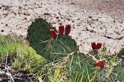 0 Apn: 341-01-075, Kingman, AZ 86409 - Photo 5