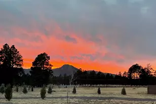 10290 Lundin Rd, Flagstaff, AZ 86004 - Photo 45