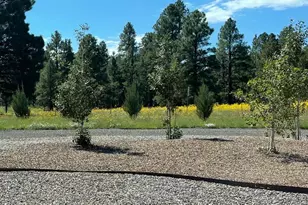 10290 Lundin Rd, Flagstaff, AZ 86004 - Photo 43