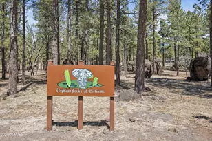 600 Brookline Loop, Williams, AZ 86046 - Photo 41