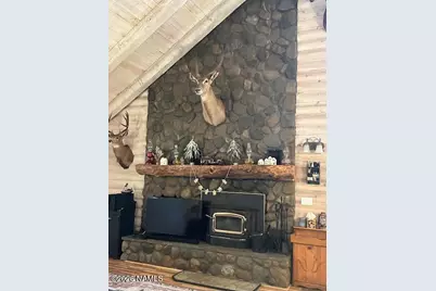 207 Blue Rdg Road, Mormon Lake, AZ 86038 - Photo 13