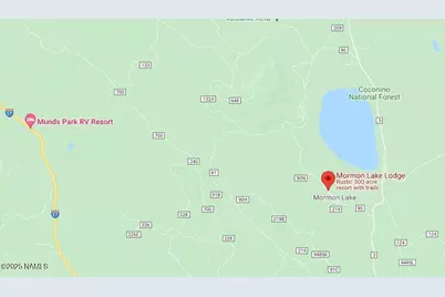 207 Blue Rdg Road, Mormon Lake, AZ 86038 - Photo 65