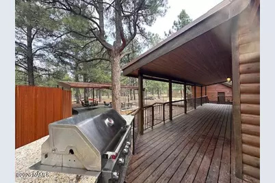 207 Blue Rdg Road, Mormon Lake, AZ 86038 - Photo 9