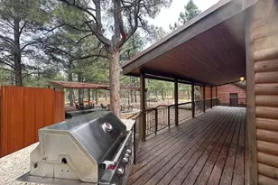 207 Blue Rdg Rd, Mormon Lake, AZ 86038 - Photo 9