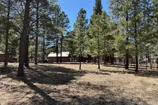 207 Blue Rdg Rd, Mormon Lake, AZ 86038 - Photo 45