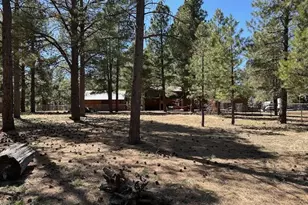 207 Blue Rdg Rd, Mormon Lake, AZ 86038 - Photo 41