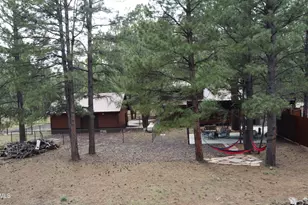 207 Blue Rdg Rd, Mormon Lake, AZ 86038 - Photo 53