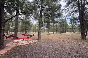 207 Blue Rdg Rd, Mormon Lake, AZ 86038 - Photo 37