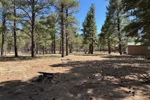 207 Blue Rdg Rd, Mormon Lake, AZ 86038 - Photo 43