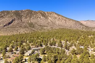 6401 N Saint Nicholas Circle, Flagstaff, AZ 86004 - Photo 19