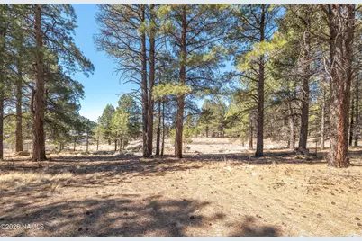 4122 N Mountain View Way, Parks, AZ 86018 - Photo 3