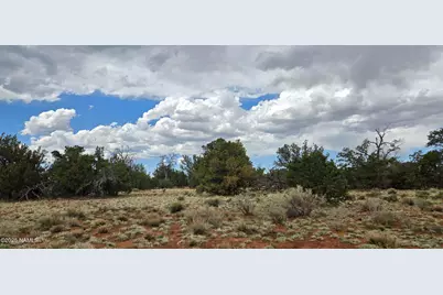 5666 Lasso Loop, Williams, AZ 86046 - Photo 13