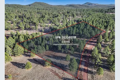 4960 Forrest Ranches Loop, Parks, AZ 86018 - Photo 47