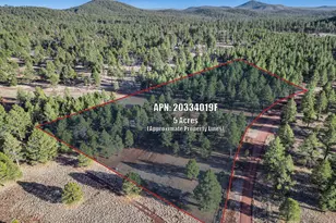 4960 Forrest Ranches Loop, Parks, AZ 86018 - Photo 47