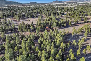 4960 Forrest Ranches Loop, Parks, AZ 86018 - Photo 49