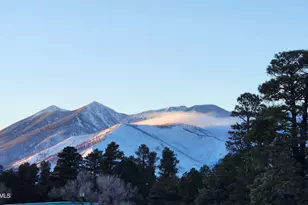 7735 S Koch Field Rd, Flagstaff, AZ 86004 - Photo 9