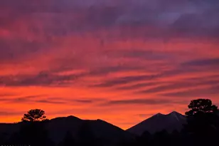 7735 S Koch Field Rd, Flagstaff, AZ 86004 - Photo 59