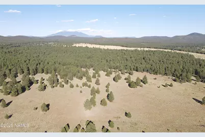 665 S Dust Devil Drive, Parks, AZ 86018 - Photo 57